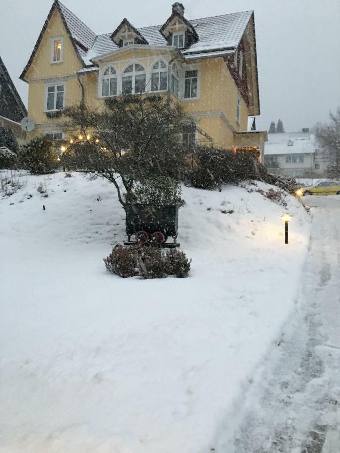 Villa Pusteblume Bad Grund Exteriör bild