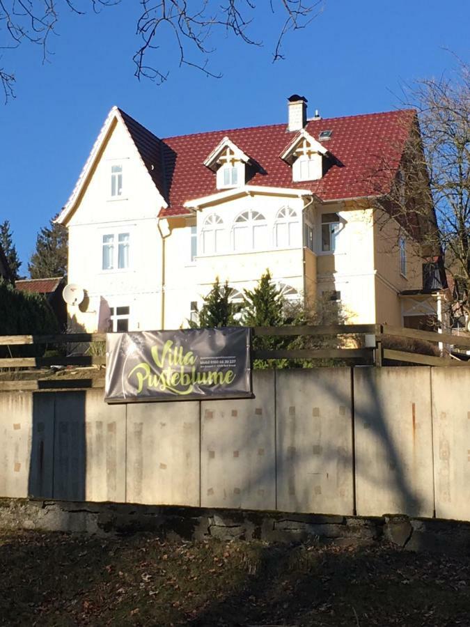 Villa Pusteblume Bad Grund Exteriör bild